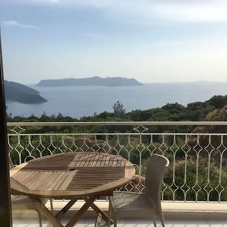 Derya Kas